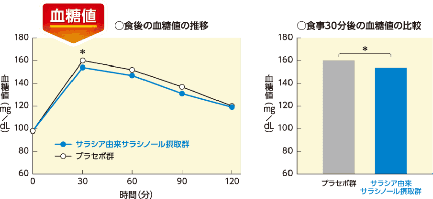 食後の血糖値の推移と、食事30分後の血糖値の比較グラフ（サラシア由来サラシノール摂取群はプラセボ群より低い）